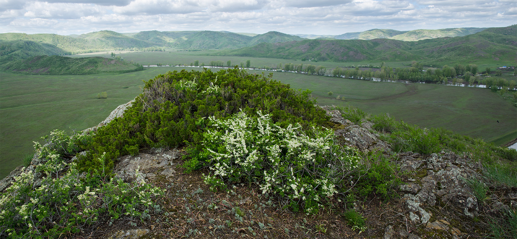 Большеарслангулово, image of landscape/habitat.