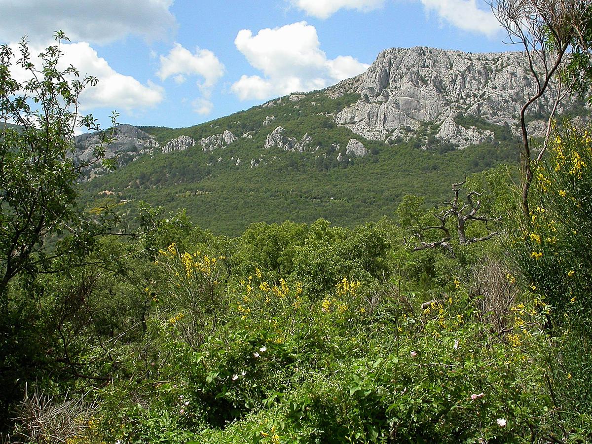 Батилиман, image of landscape/habitat.