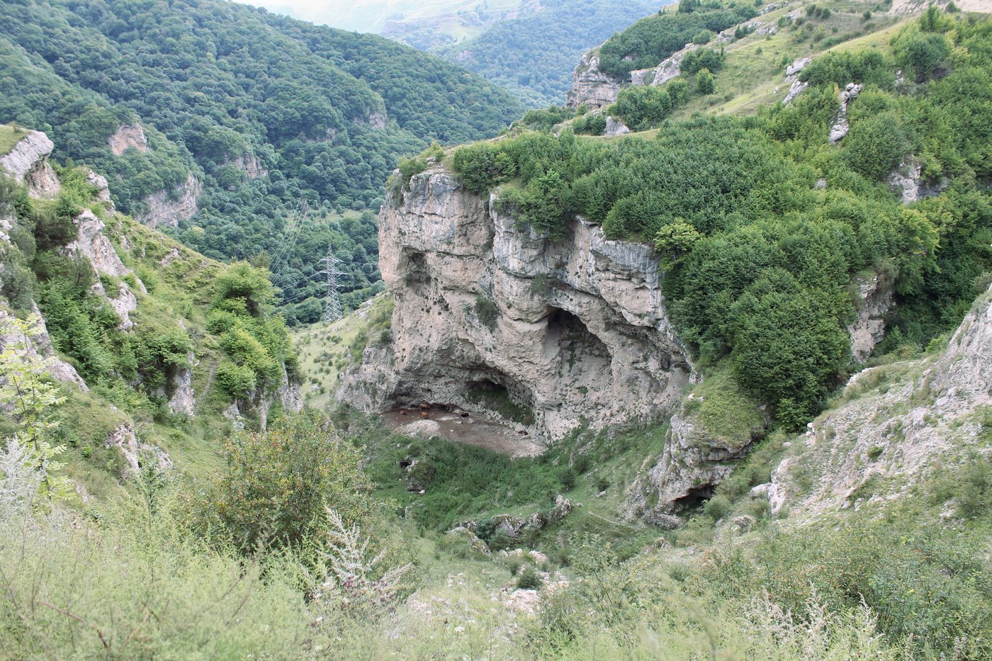 Бедык, изображение ландшафта.