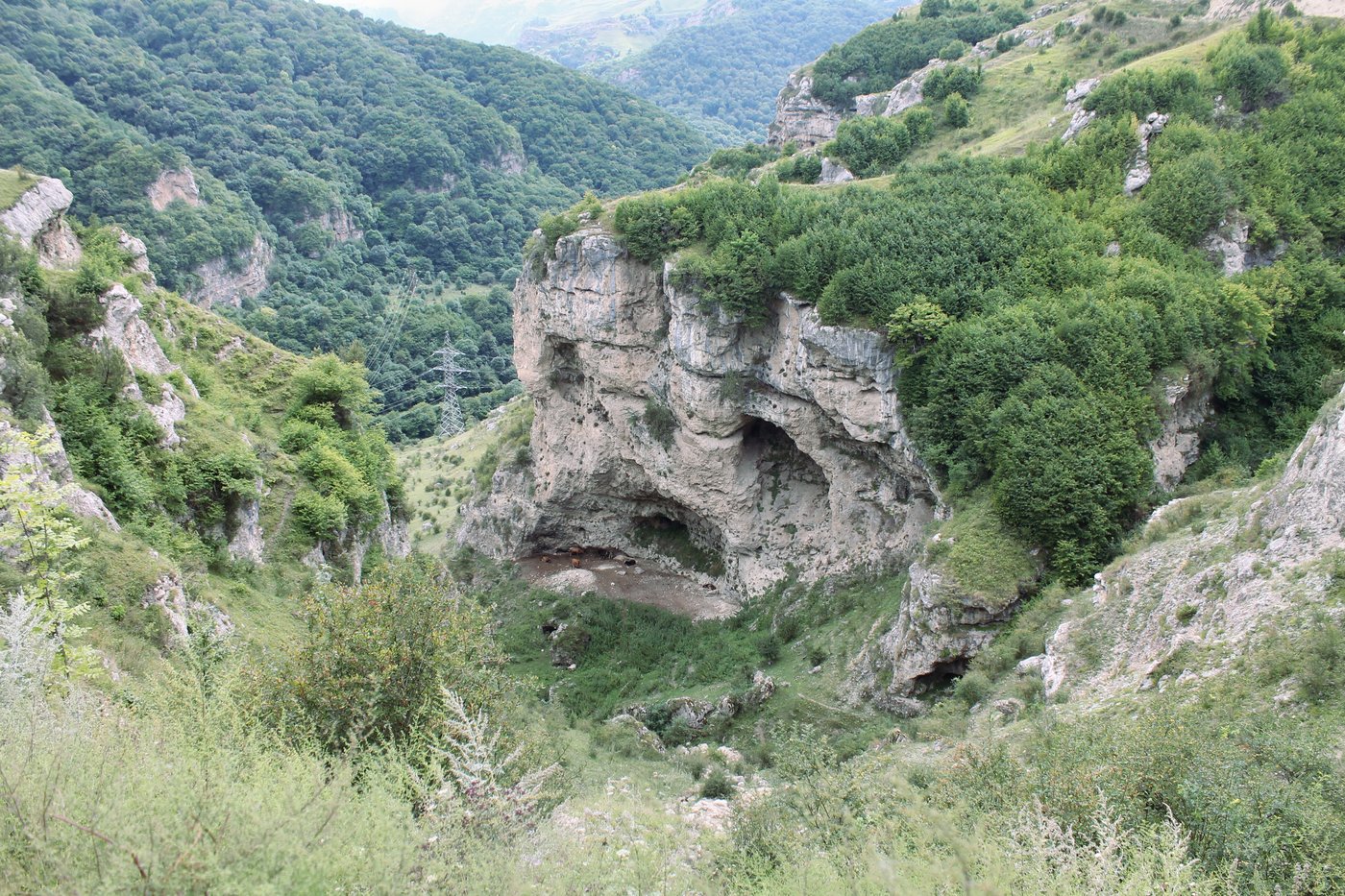 Бедык, image of landscape/habitat.