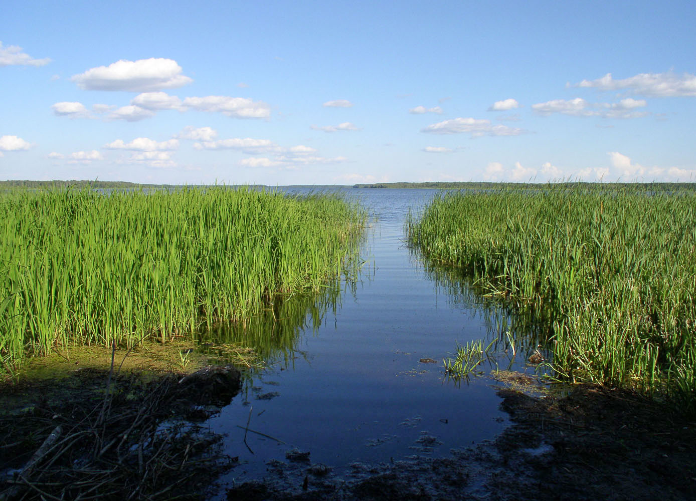 Иваньковское водохранилище, image of landscape/habitat.