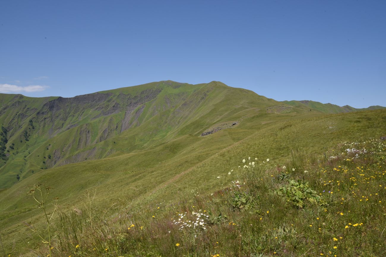 Юго-восточный склон Чархунышкорт, image of landscape/habitat.