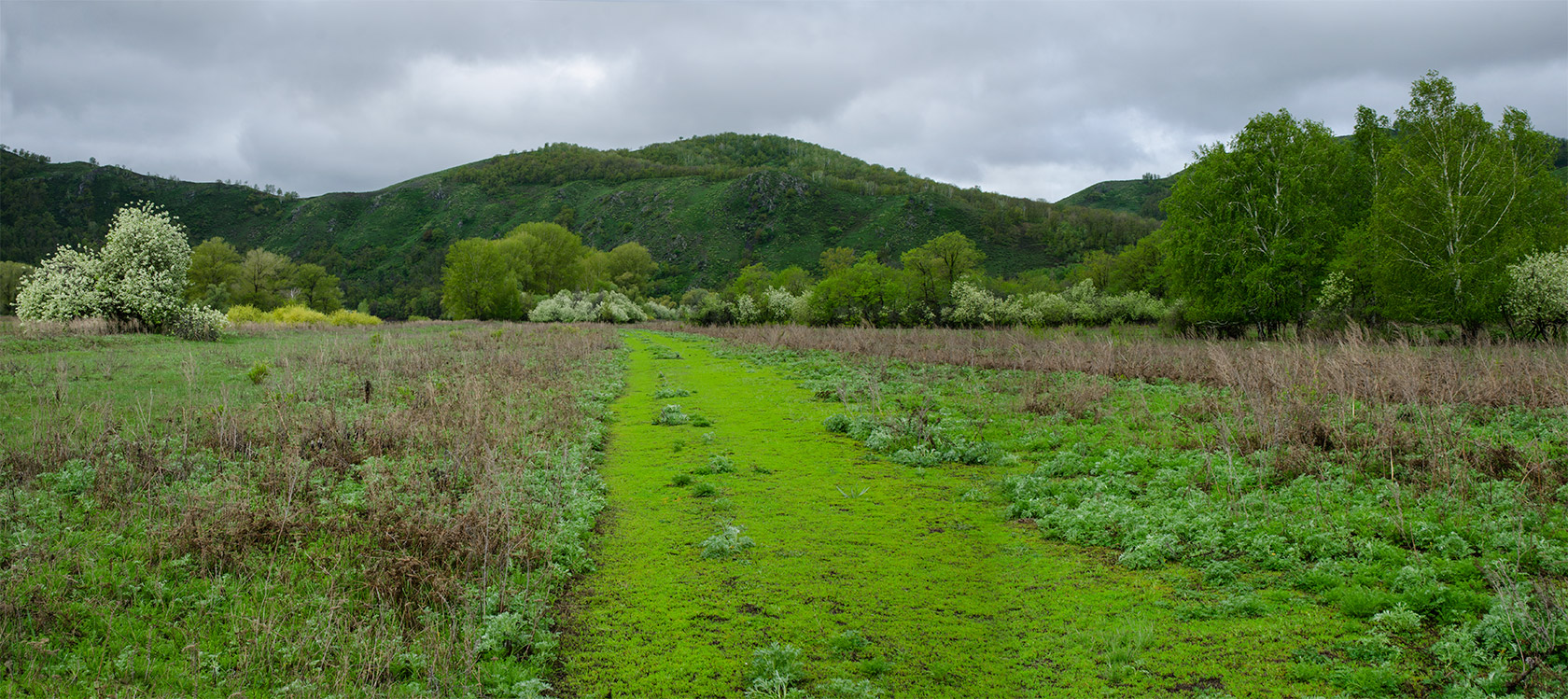 Большеарслангулово, image of landscape/habitat.