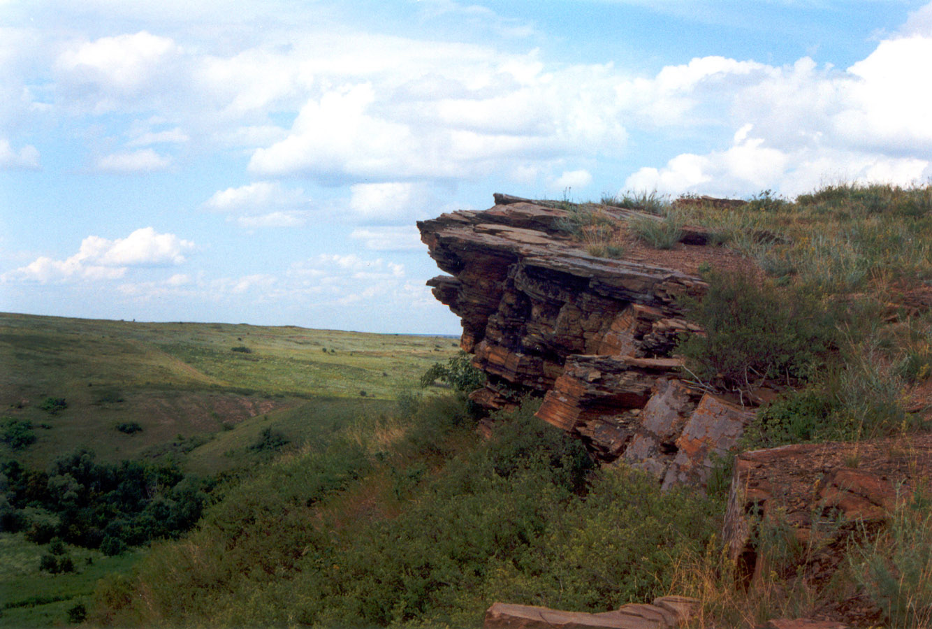 Провалье, Калиновский участок, image of landscape/habitat.