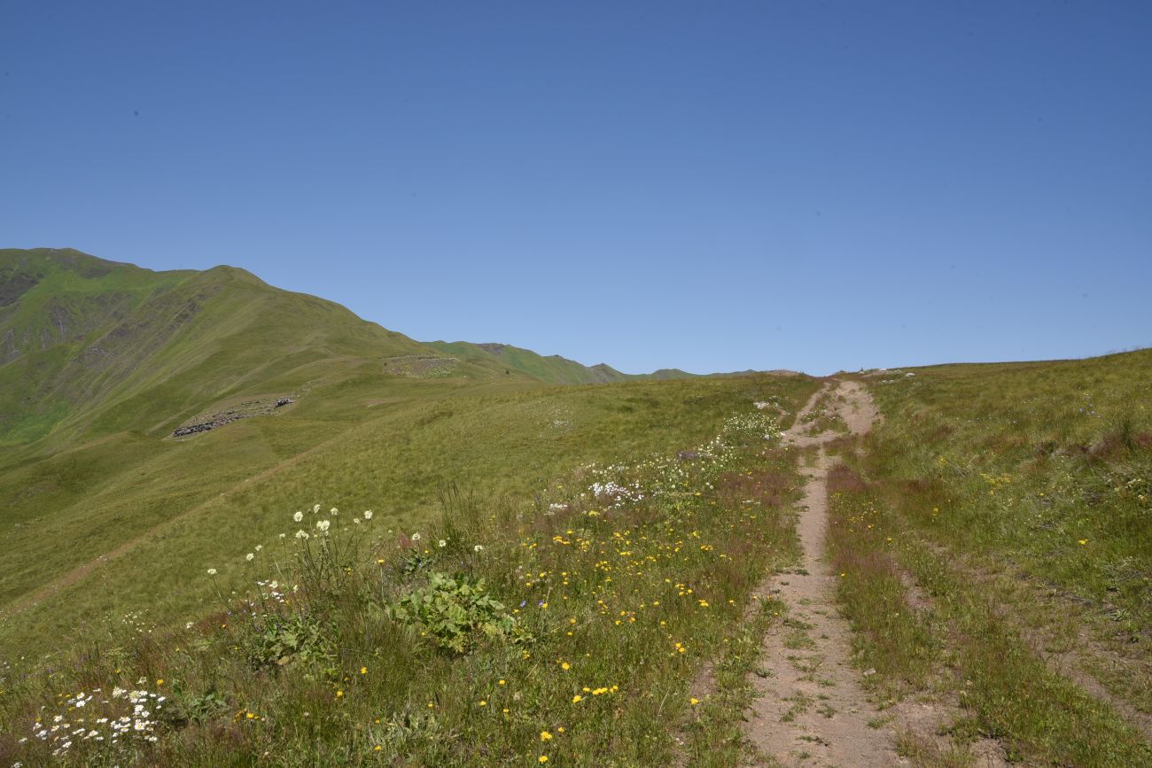 Юго-восточный склон Чархунышкорт, image of landscape/habitat.