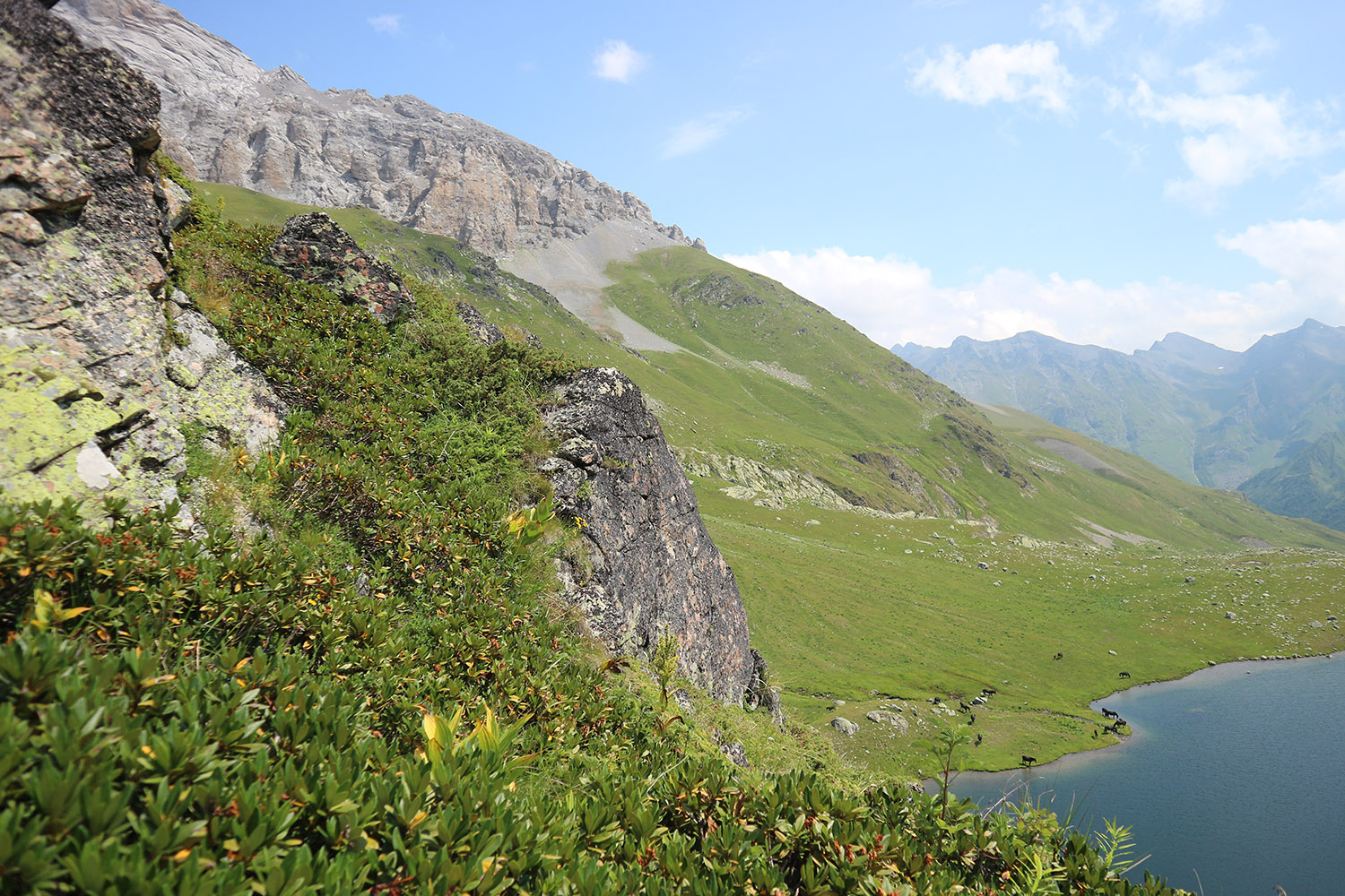 Ацгарские озёра, image of landscape/habitat.