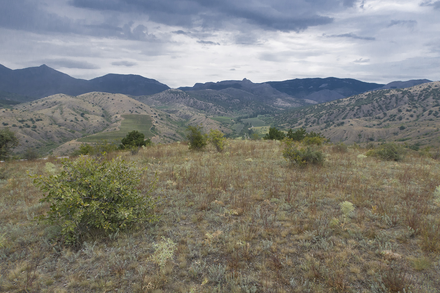 Чабан-Куле, image of landscape/habitat.