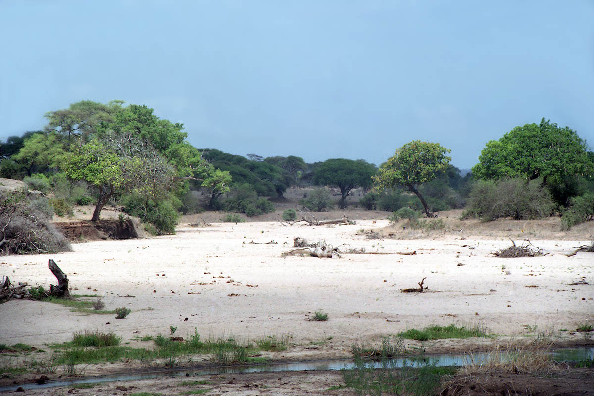 Тарангире, image of landscape/habitat.