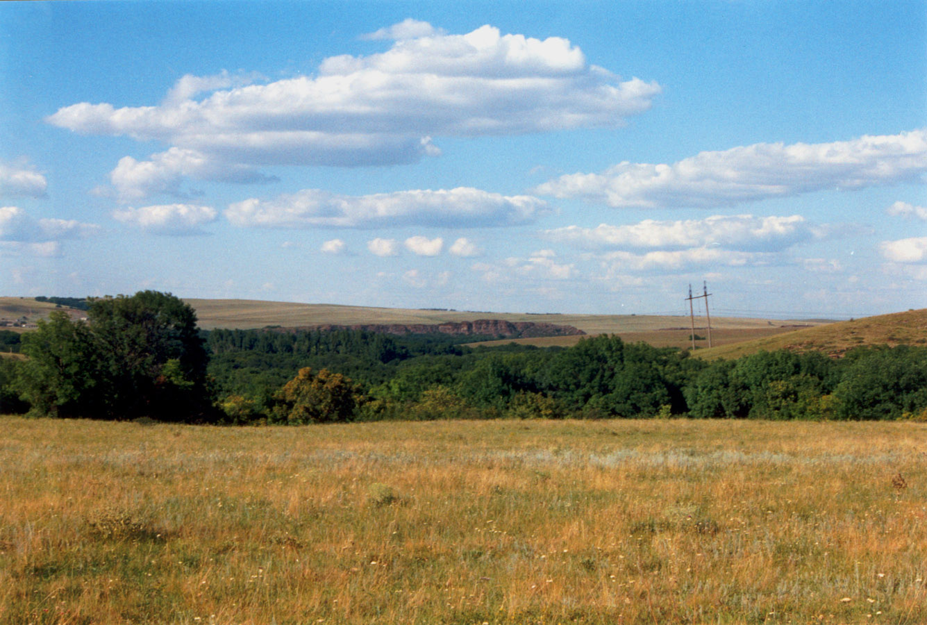 Королевские скалы, image of landscape/habitat.