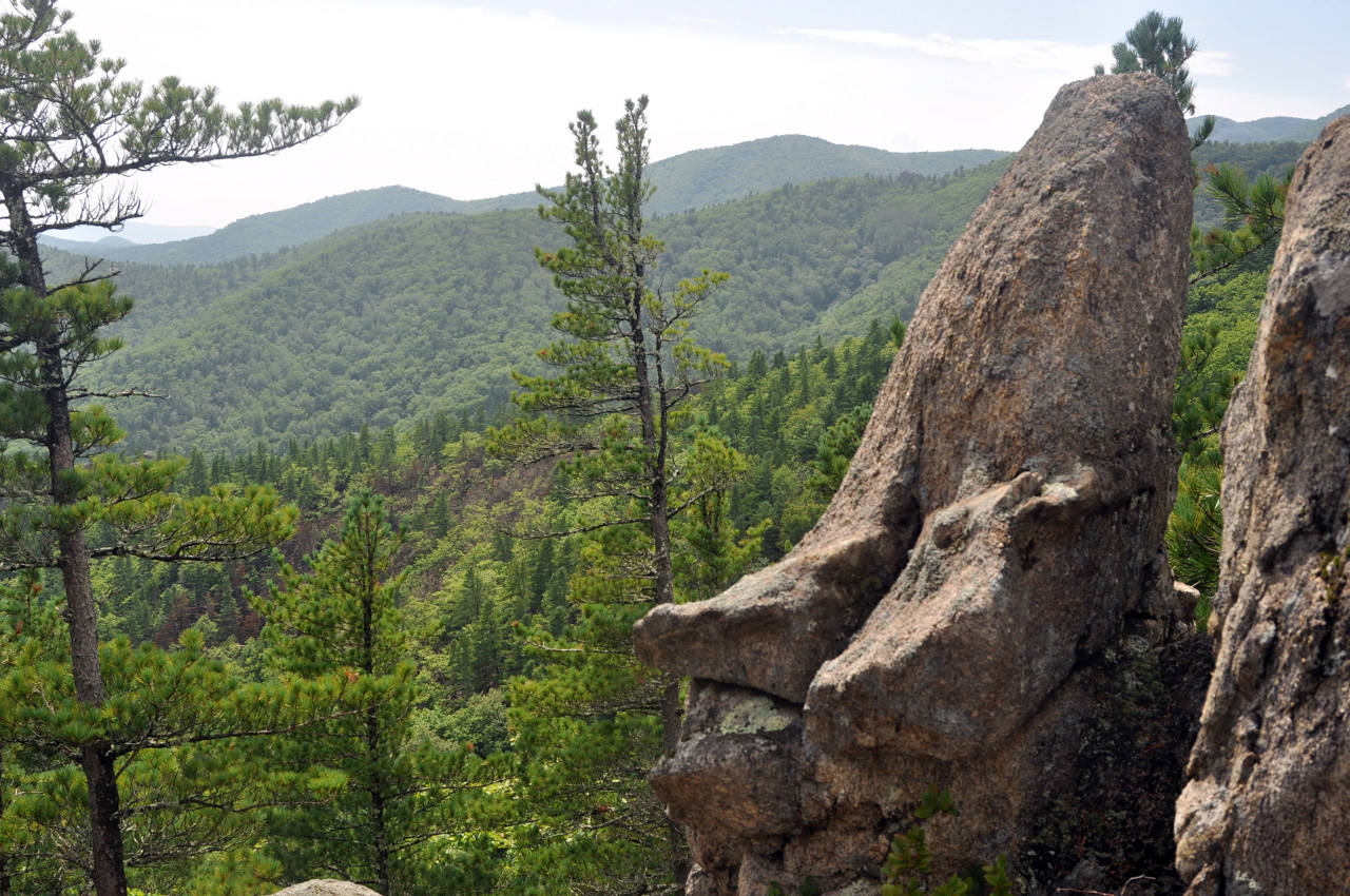 Окрестности села Чистоводное, image of landscape/habitat.