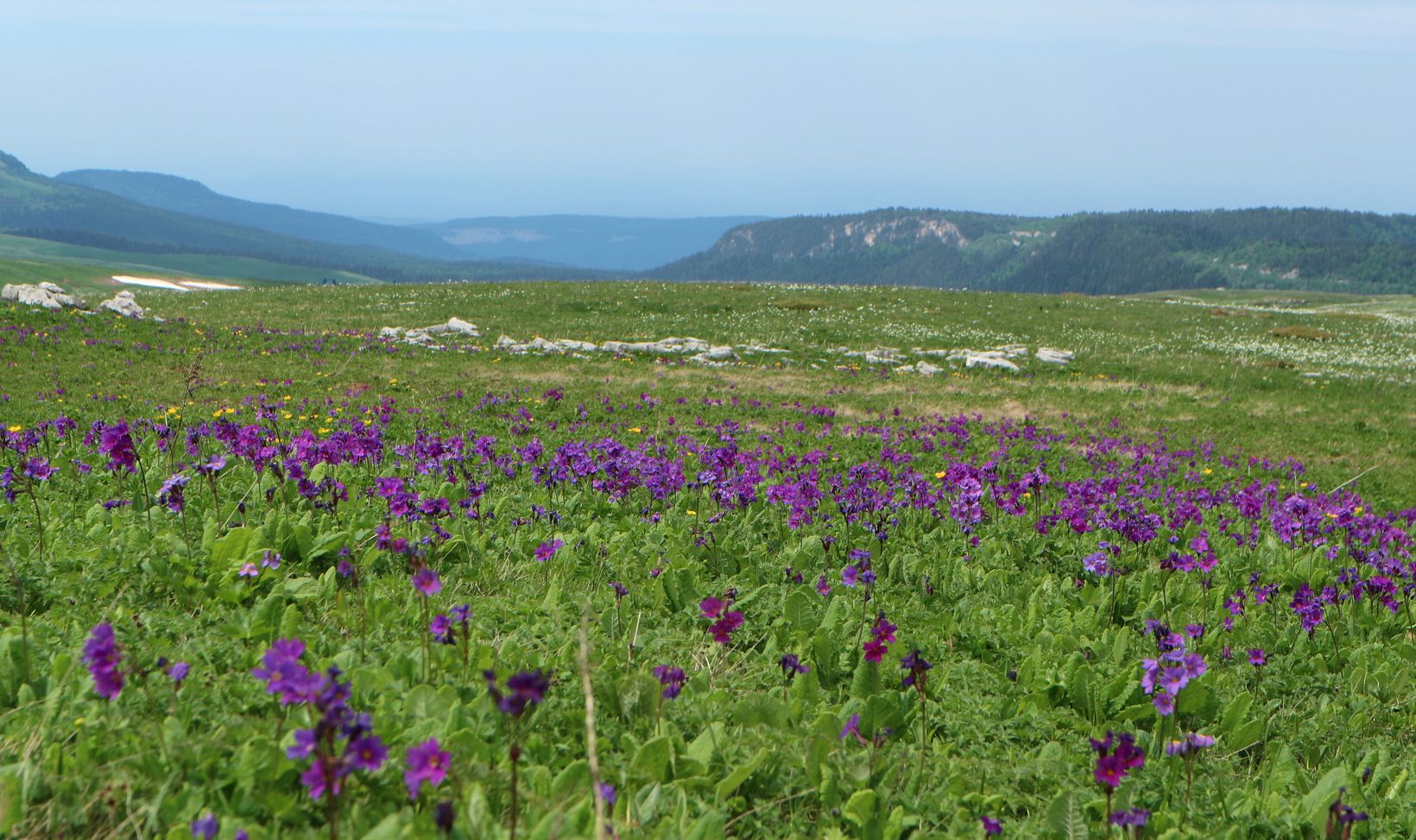 Каменное Море, изображение ландшафта.