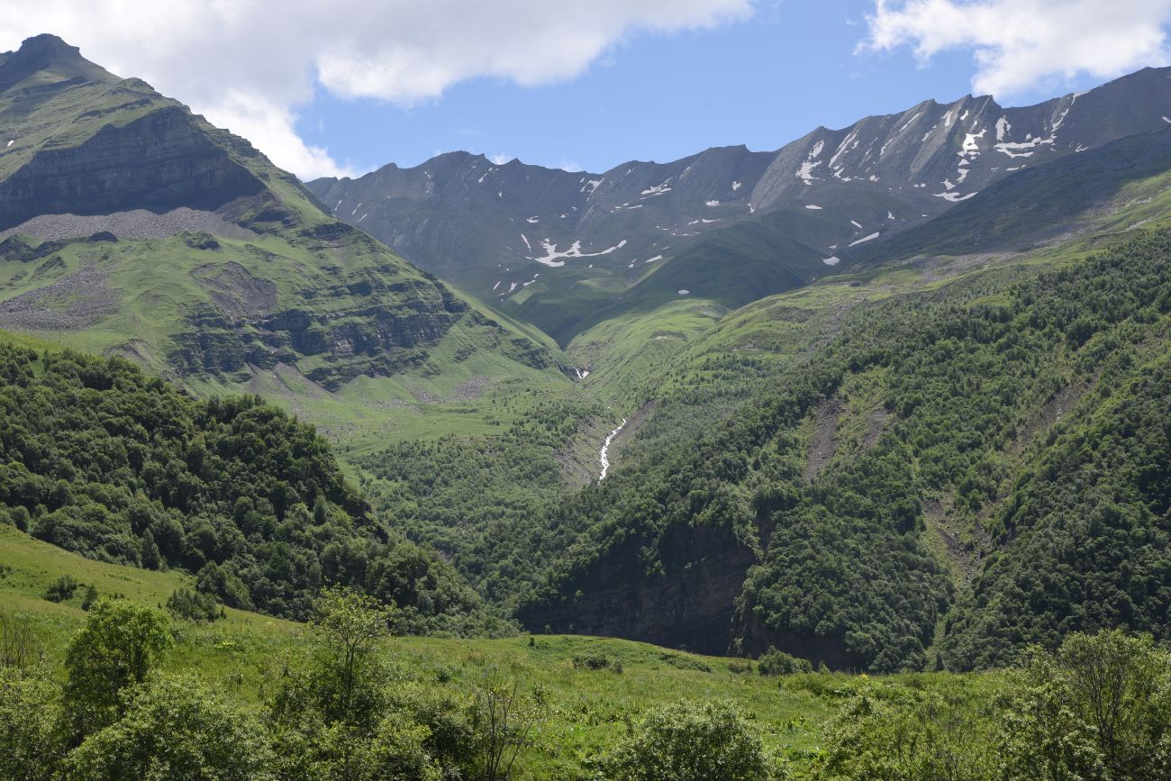 Верхнее течение Чадыри, image of landscape/habitat.