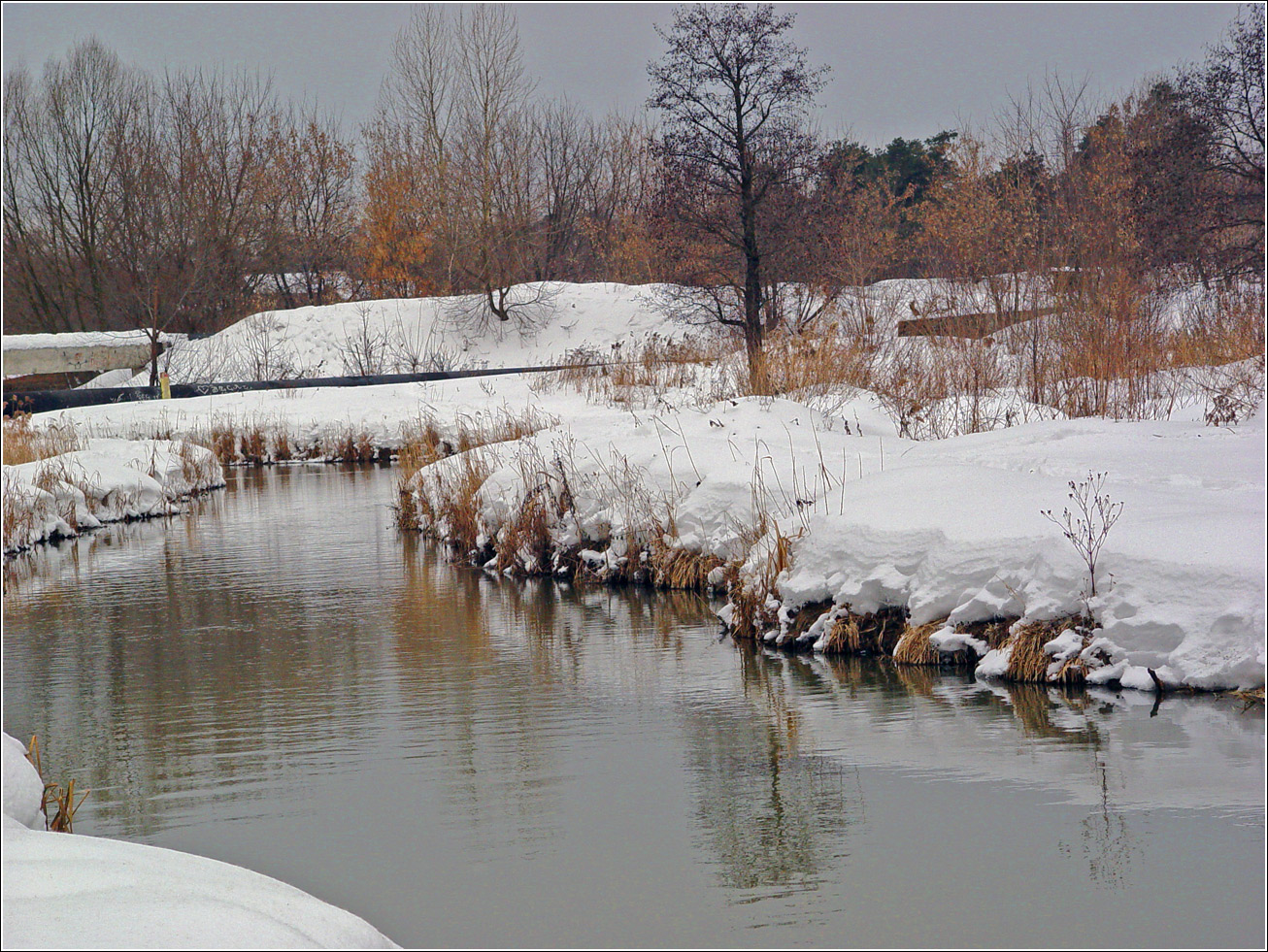 Кузьминский лесопарк, image of landscape/habitat.