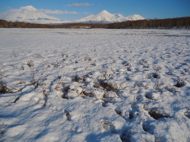 Водно-болотное угодье"Орлишка", изображение ландшафта.