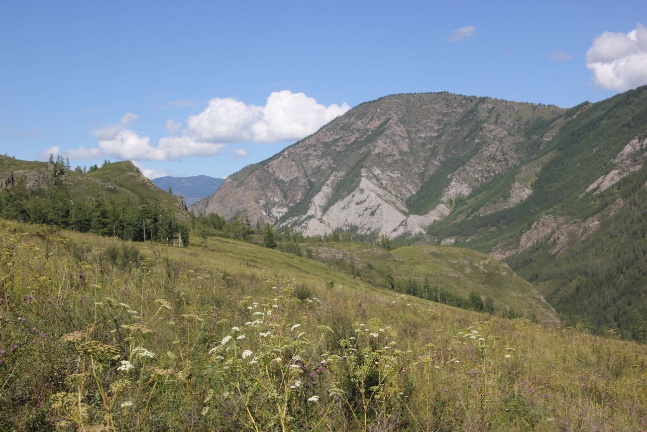 Окрестности реки Казнахта, image of landscape/habitat.