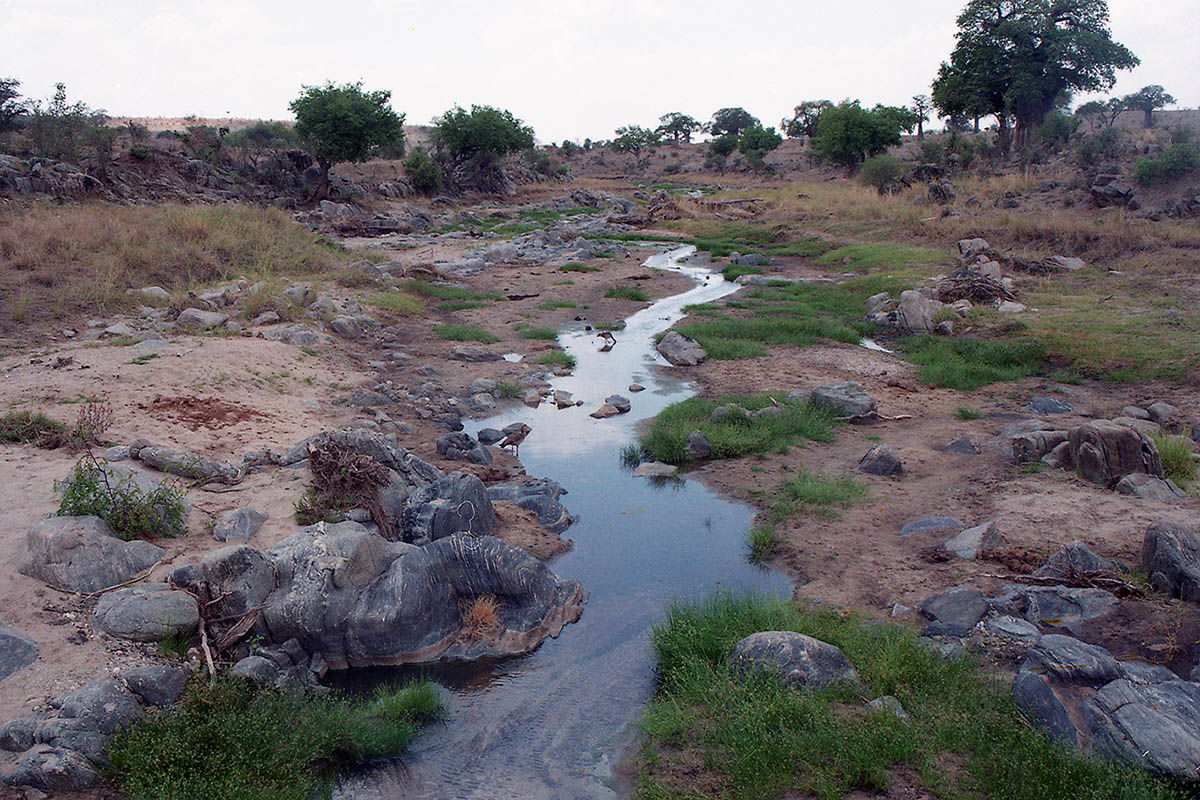 Тарангире, image of landscape/habitat.