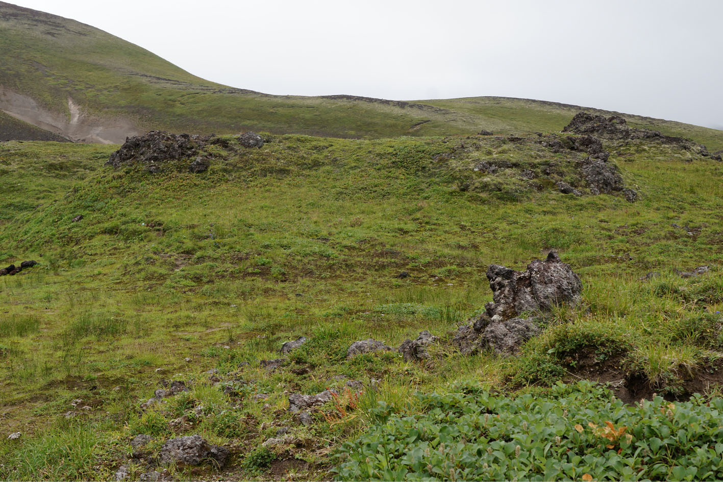 Лавовые пещеры вулкана Горелый, image of landscape/habitat.