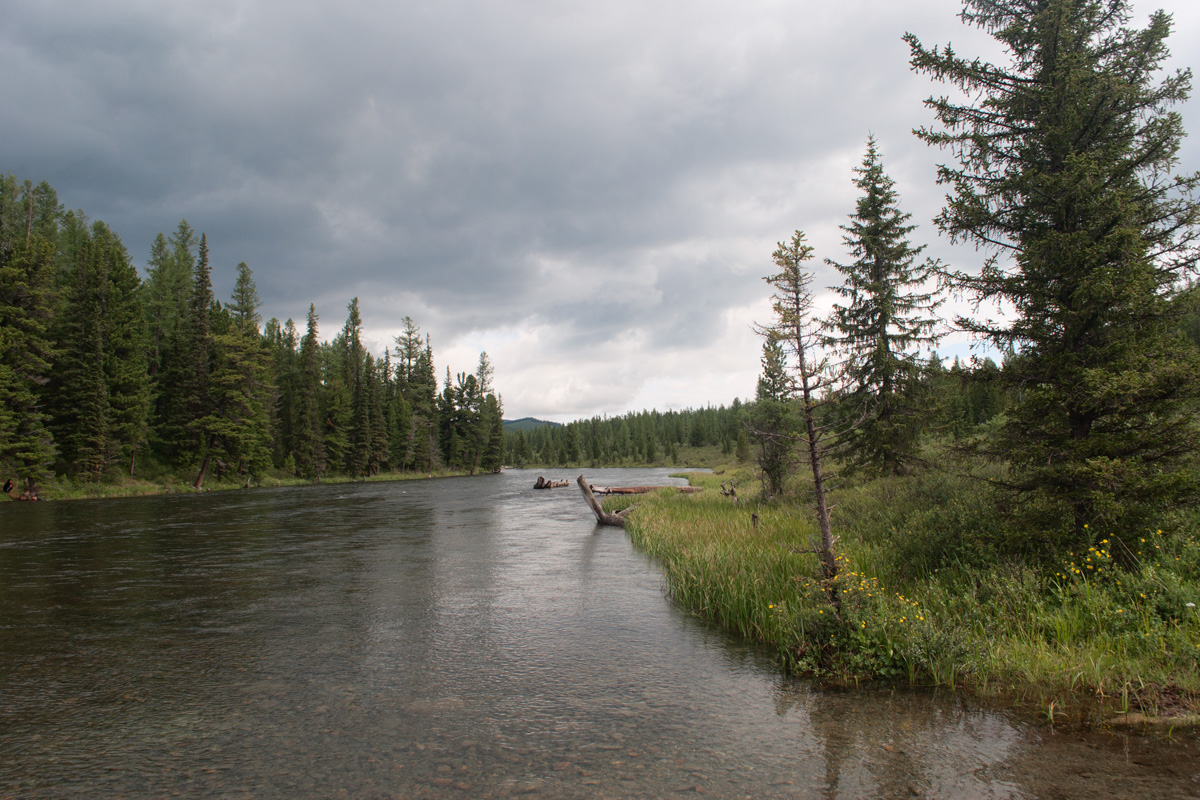 Нижнее Мультинское озеро, image of landscape/habitat.