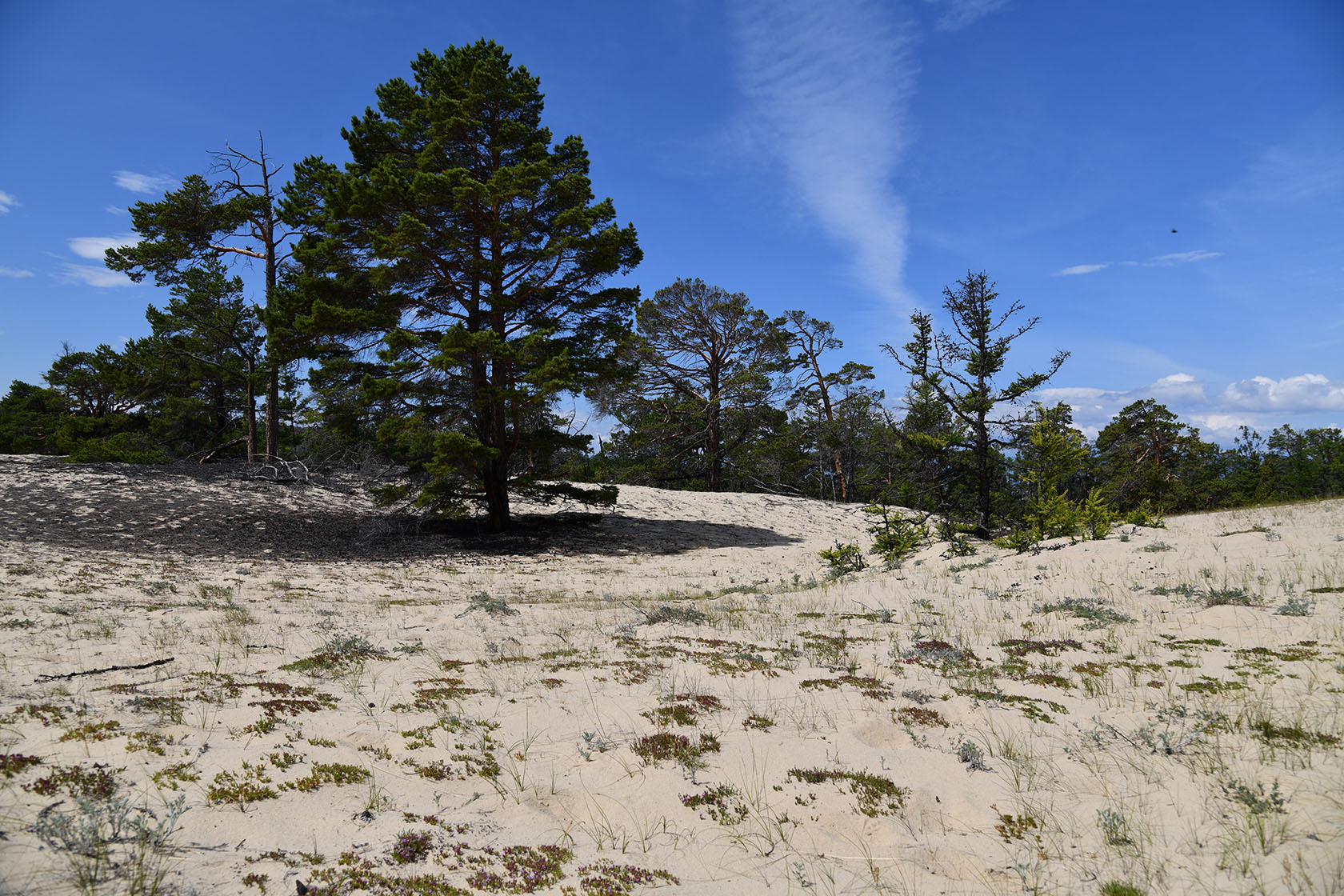 Ольхон, image of landscape/habitat.