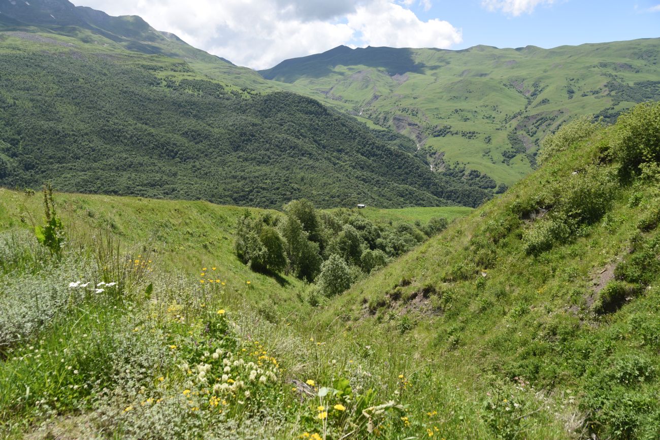 Верхнее течение Чадыри, image of landscape/habitat.