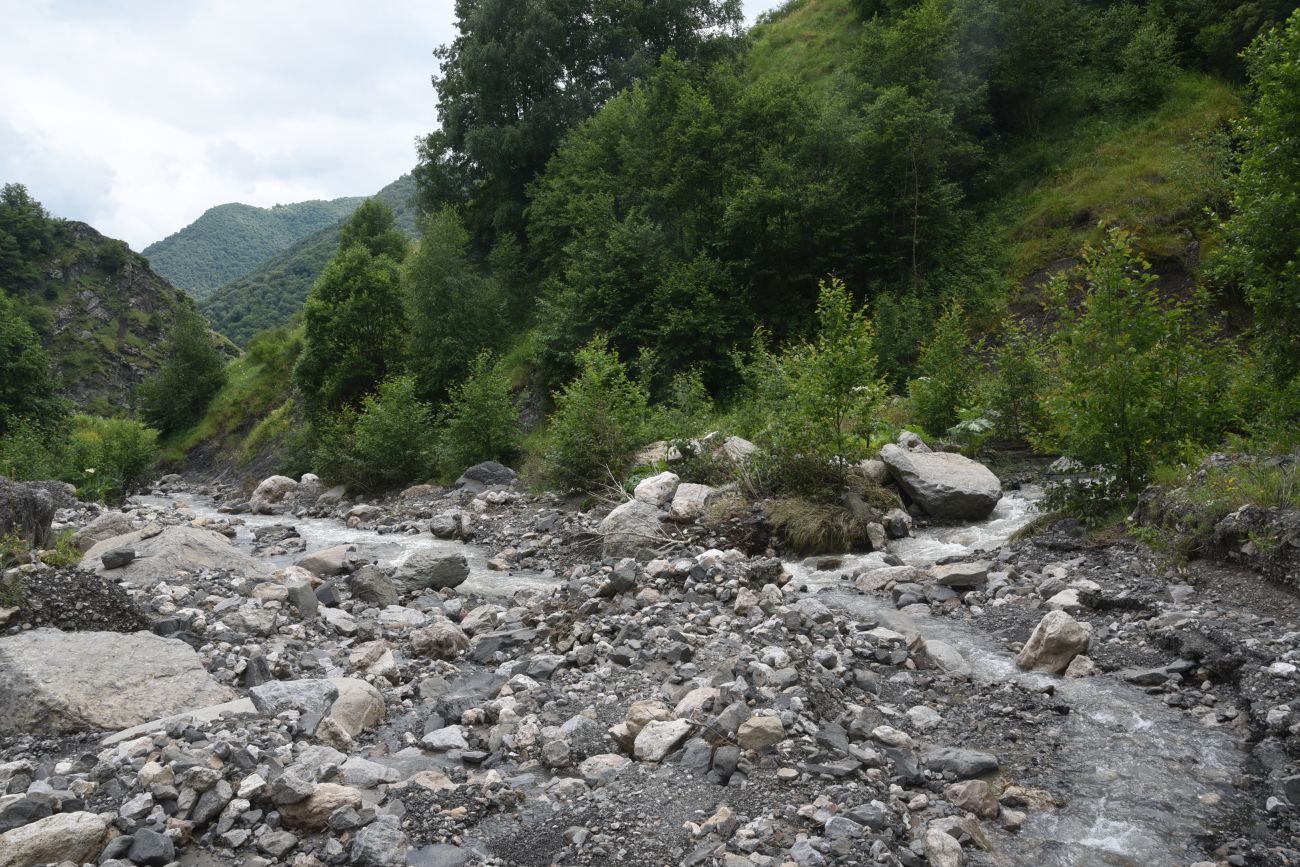 Ещё один левый приток Цесиахк, image of landscape/habitat.