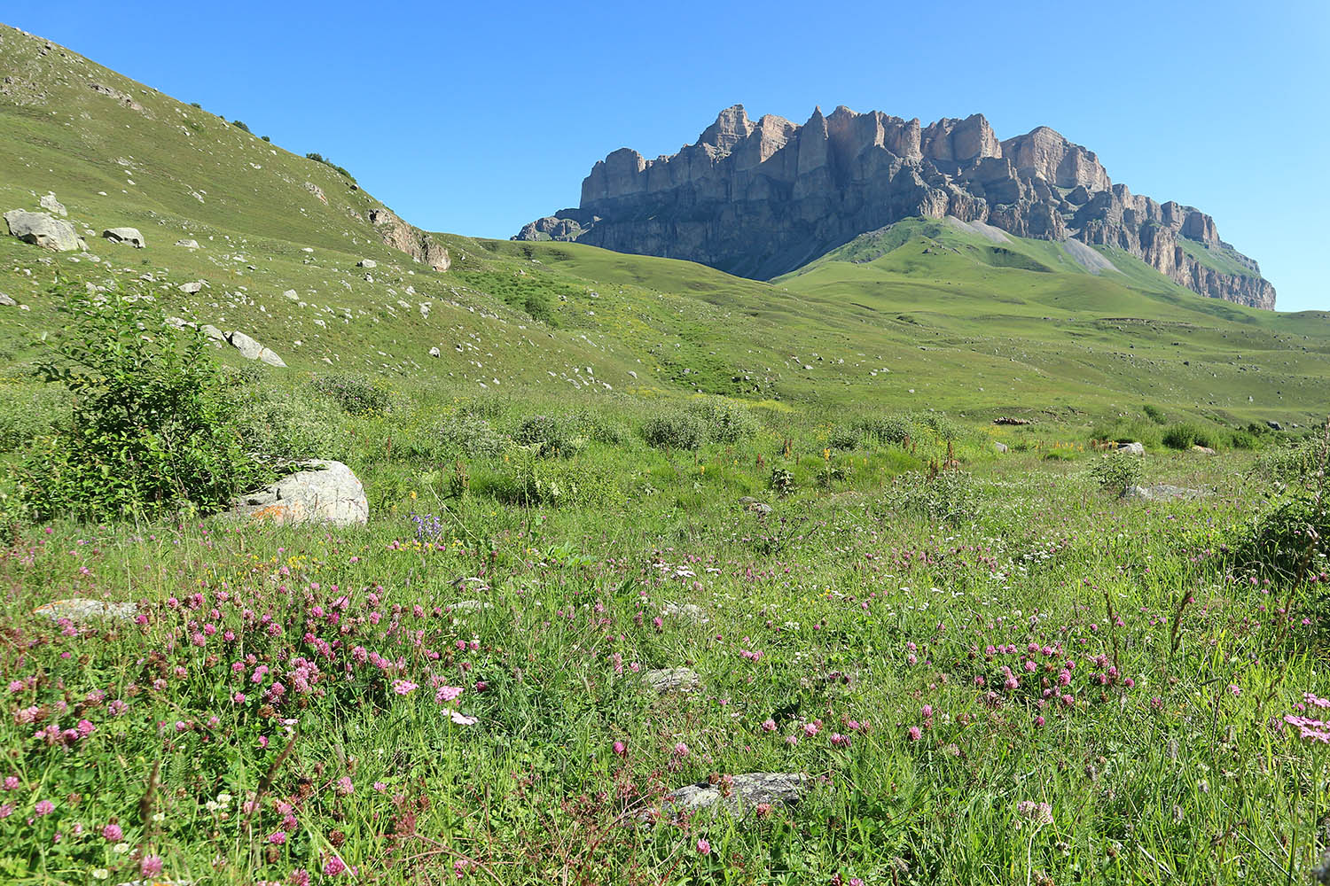 Псыгансу в верхнем течении, image of landscape/habitat.