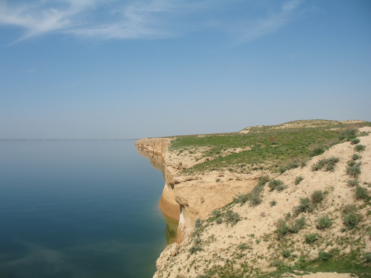 Шардара, image of landscape/habitat.