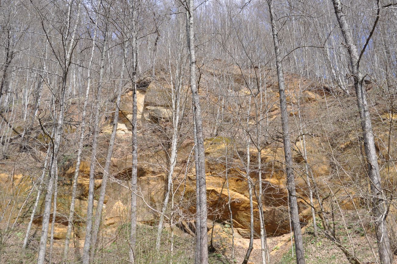 Долина реки Аминовка, image of landscape/habitat.