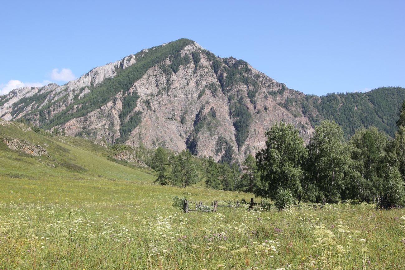 Окрестности реки Казнахта, image of landscape/habitat.