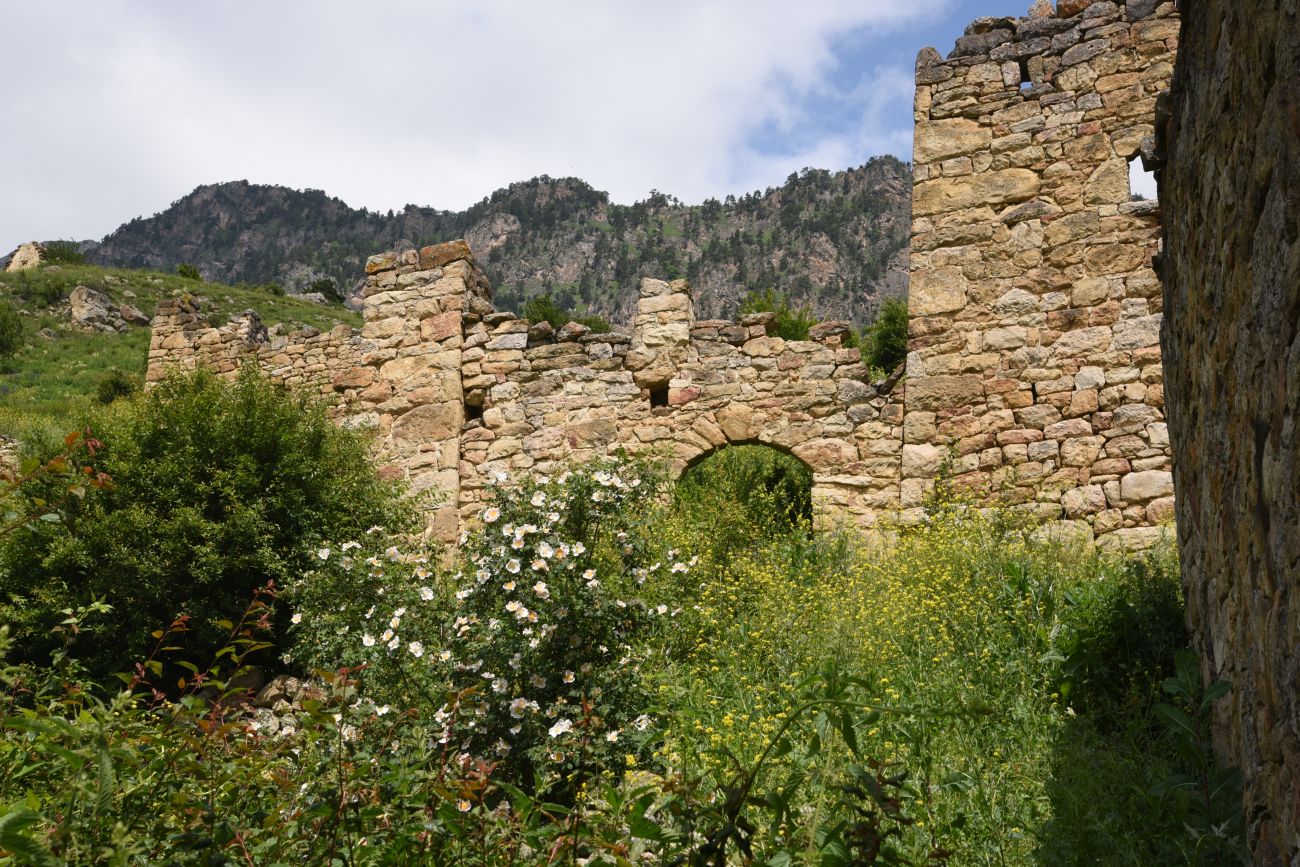 Бархане и окрестности, image of landscape/habitat.