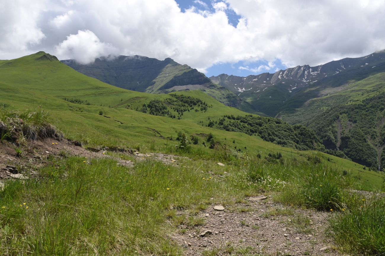 Верхнее течение Чадыри, image of landscape/habitat.