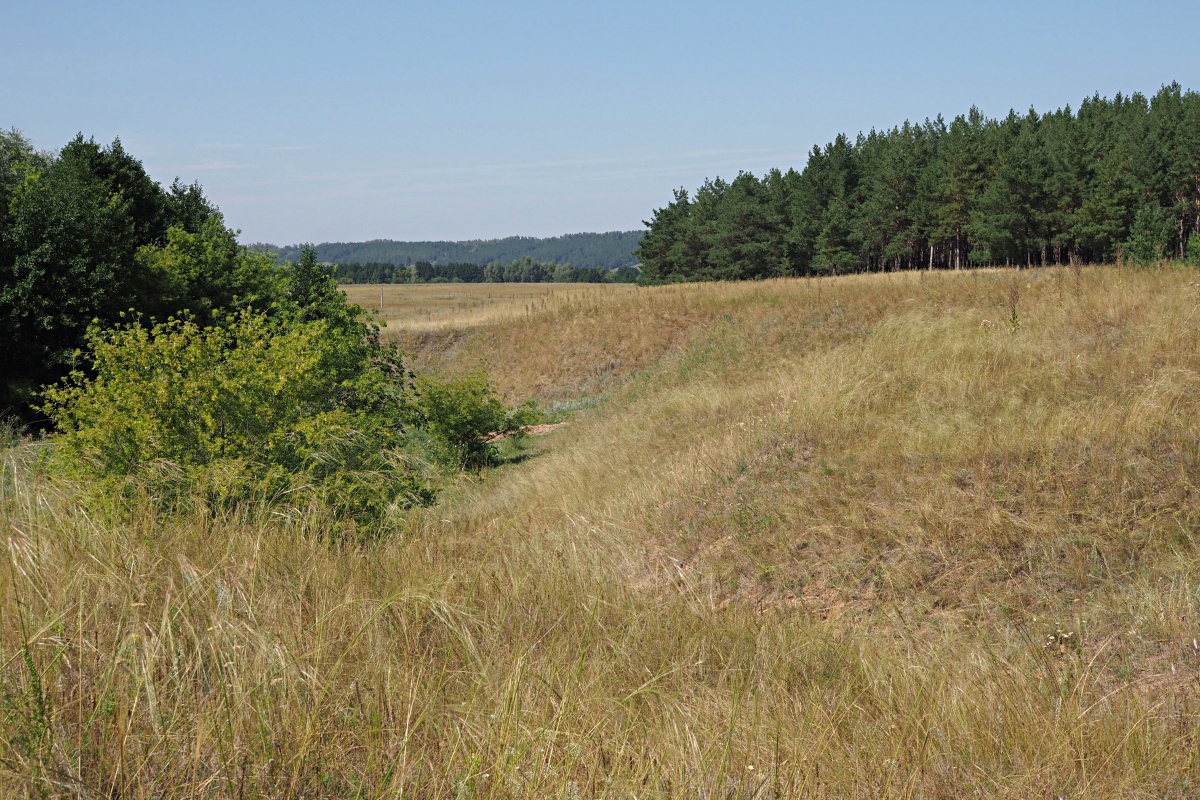 Долины рек Авраль, image of landscape/habitat.