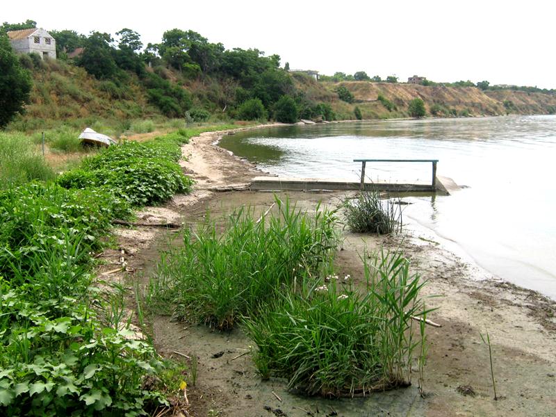 Днестровский лиман, image of landscape/habitat.