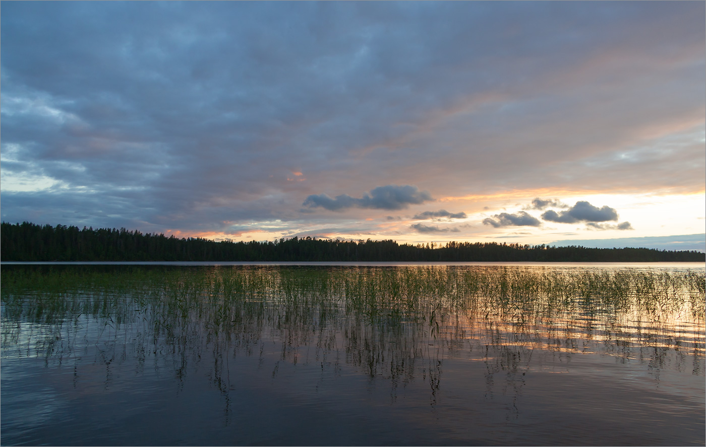 Елмозеро, image of landscape/habitat.