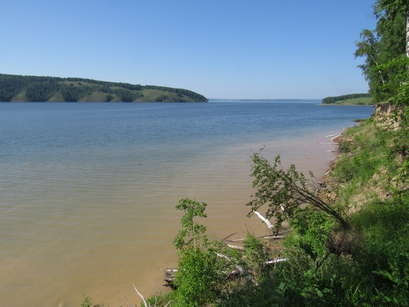 Убейский залив, image of landscape/habitat.