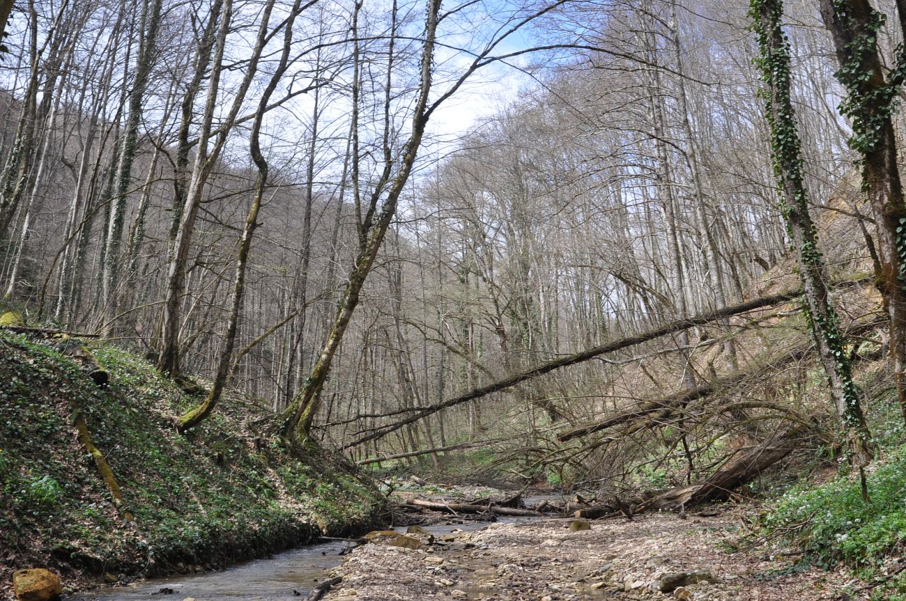 Долина реки Аминовка, image of landscape/habitat.