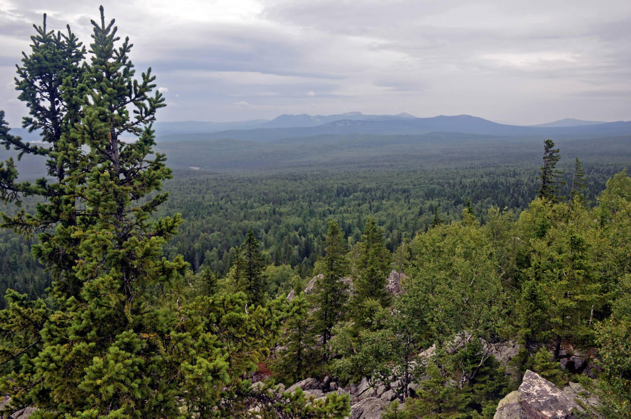 Александровская сопка, image of landscape/habitat.