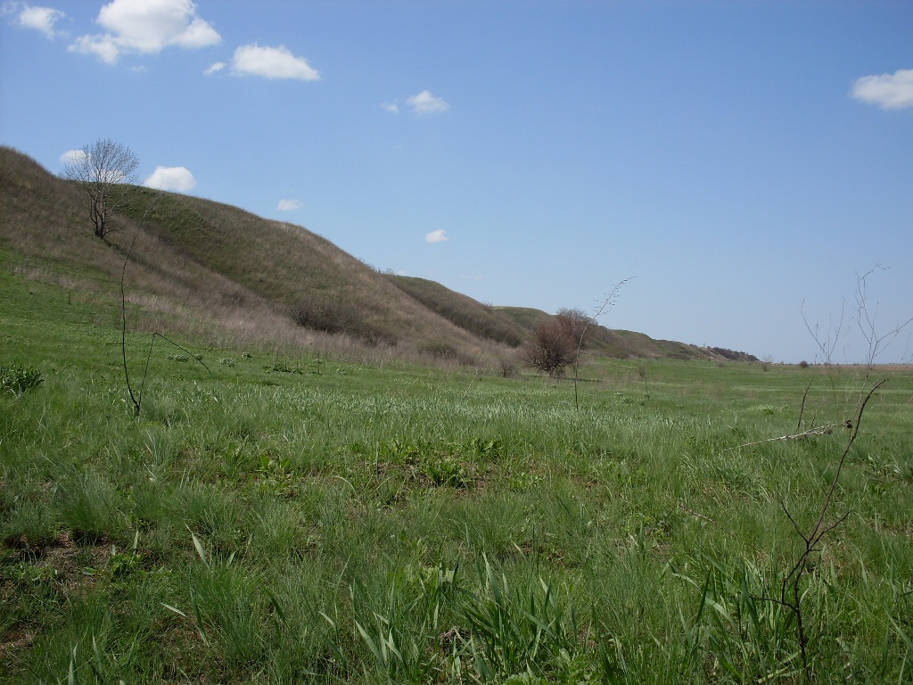 Коса Очаковская, image of landscape/habitat.