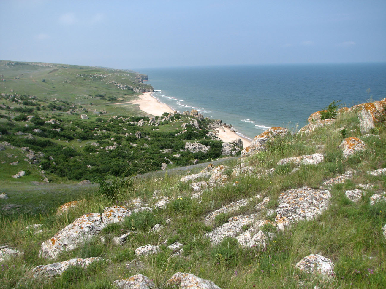 Караларская степь, image of landscape/habitat.