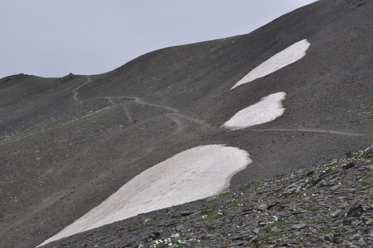 Окрестности перевала Чаухи, image of landscape/habitat.