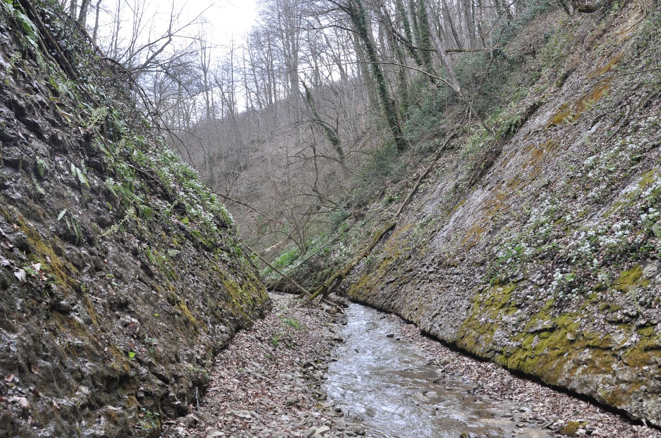 Долина реки Аминовка, image of landscape/habitat.