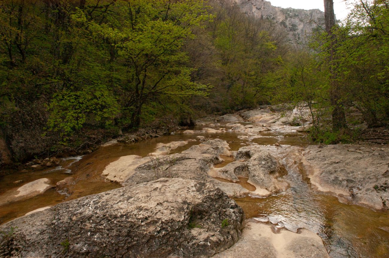 Большой каньон Крыма, image of landscape/habitat.