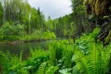 Чаньвинский мост и окрестности, image of landscape/habitat.