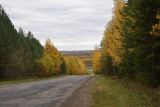 Окрестности Логиново, image of landscape/habitat.
