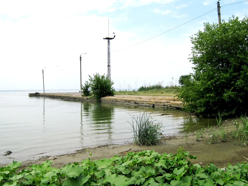 Днестровский лиман, image of landscape/habitat.