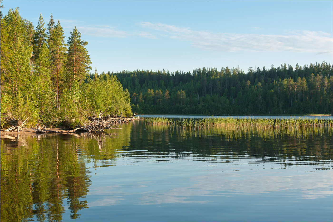 Елмозеро, image of landscape/habitat.