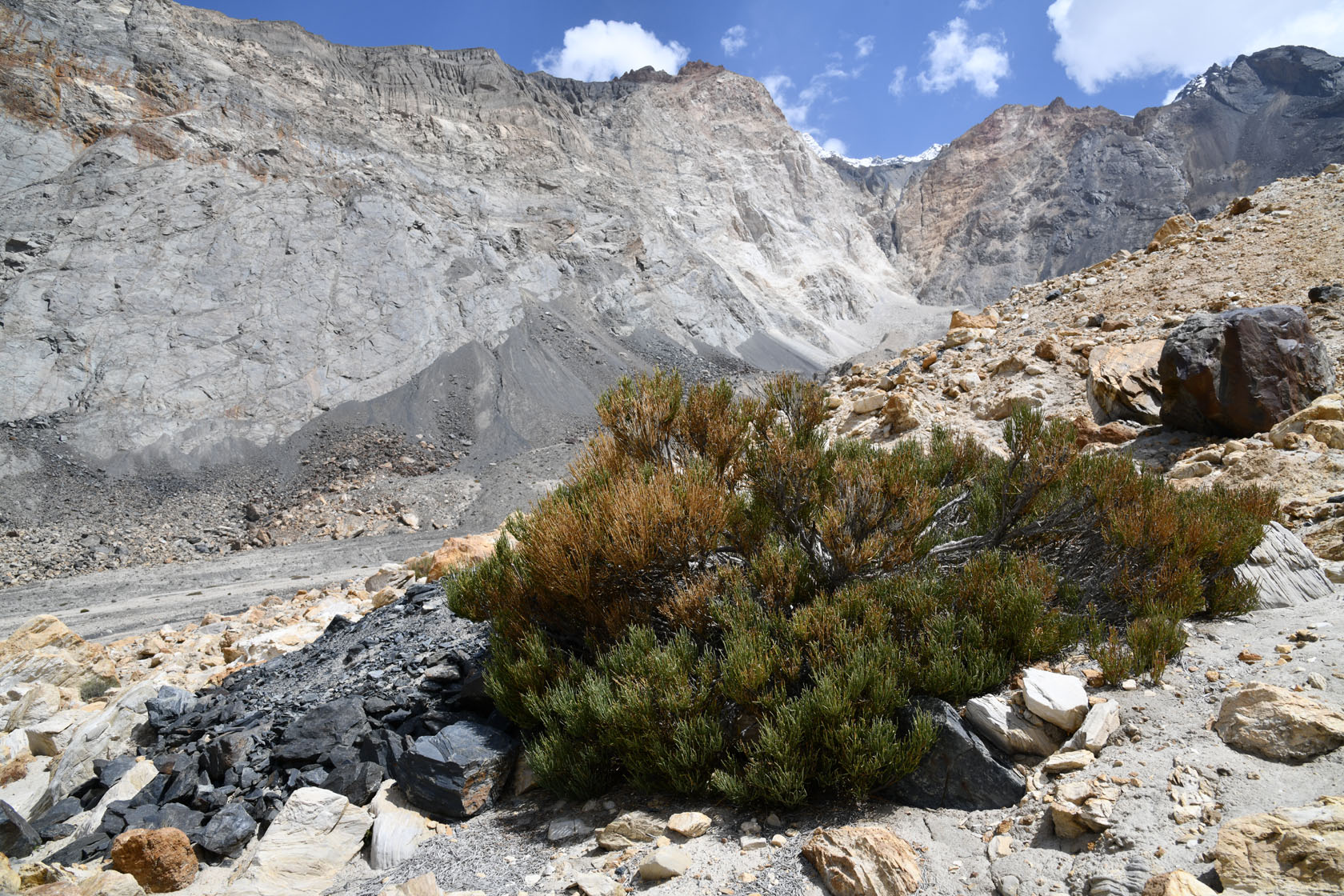 Усойский завал, image of landscape/habitat.