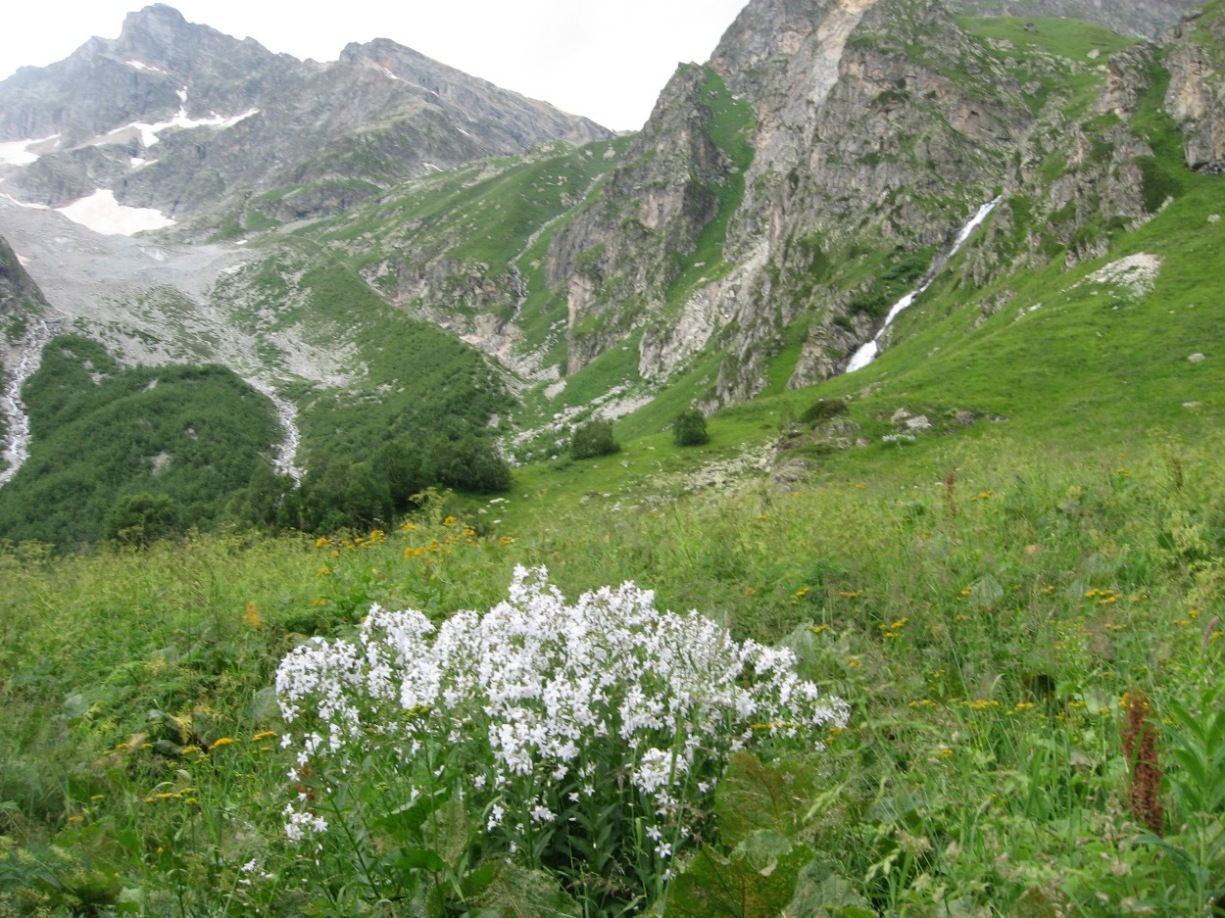 Ущелье Хутый, image of landscape/habitat.