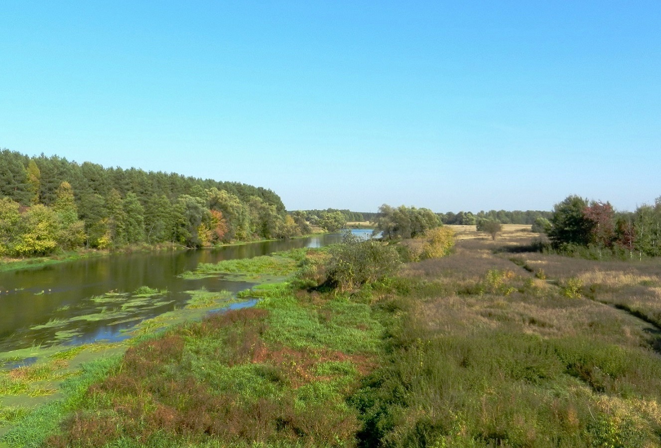 Павловский Посад и окрестности, image of landscape/habitat.