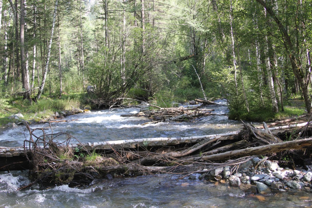 Окрестности реки Казнахта, image of landscape/habitat.